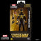Marvel Legends Series Avengers Iron Spider (Aaron Davis)