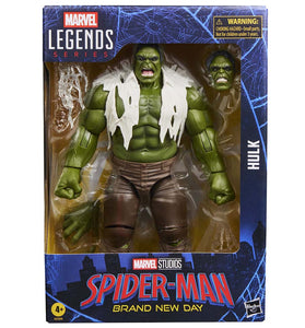 Marvel Legends Series Hulk Spider-Man: Brand New Day G2399