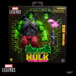 Marvel Legends Series Profesor Hulk G2405
