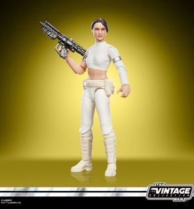 Star Wars La colección Vintage, Padmé Amidala (Geonosis)