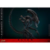 Scorched Xenomorph Sixth Scale Figure by Hot Toys