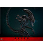 Scorched Xenomorph Sixth Scale Figure by Hot Toys