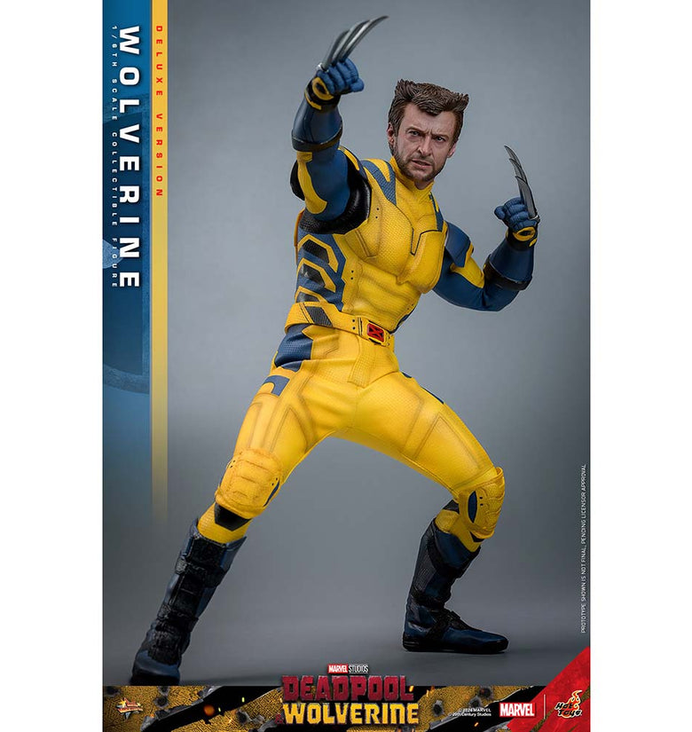 Wolverine (Deluxe Version) Sixth Scale Figure by Hot Toys