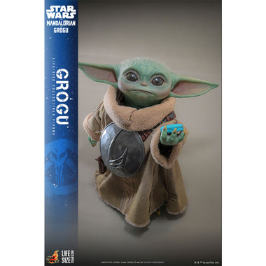 Grogu – Hot Toys | The Mandalorian & Grogu