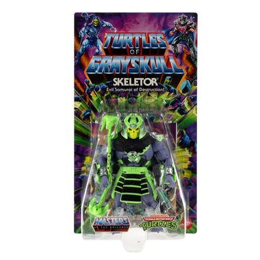 Masters of the Universe Turtles of Grayskull Skeletor de 5.5" HPR00