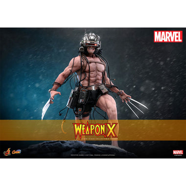Weapon X Figura 1/6 Hot Toys